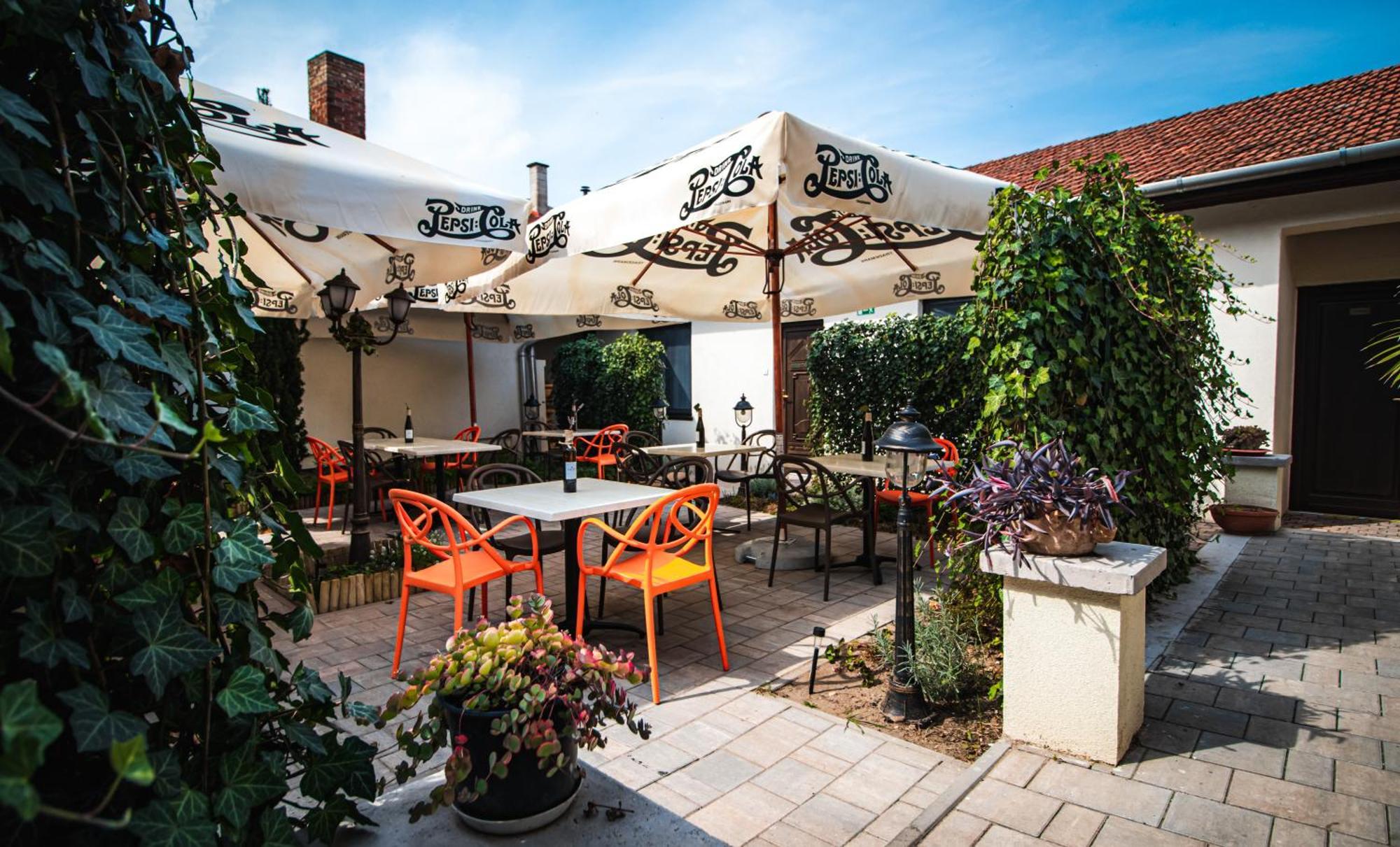 Fakapu Pince Es Panzio Bed & Breakfast Tokaj Exterior photo